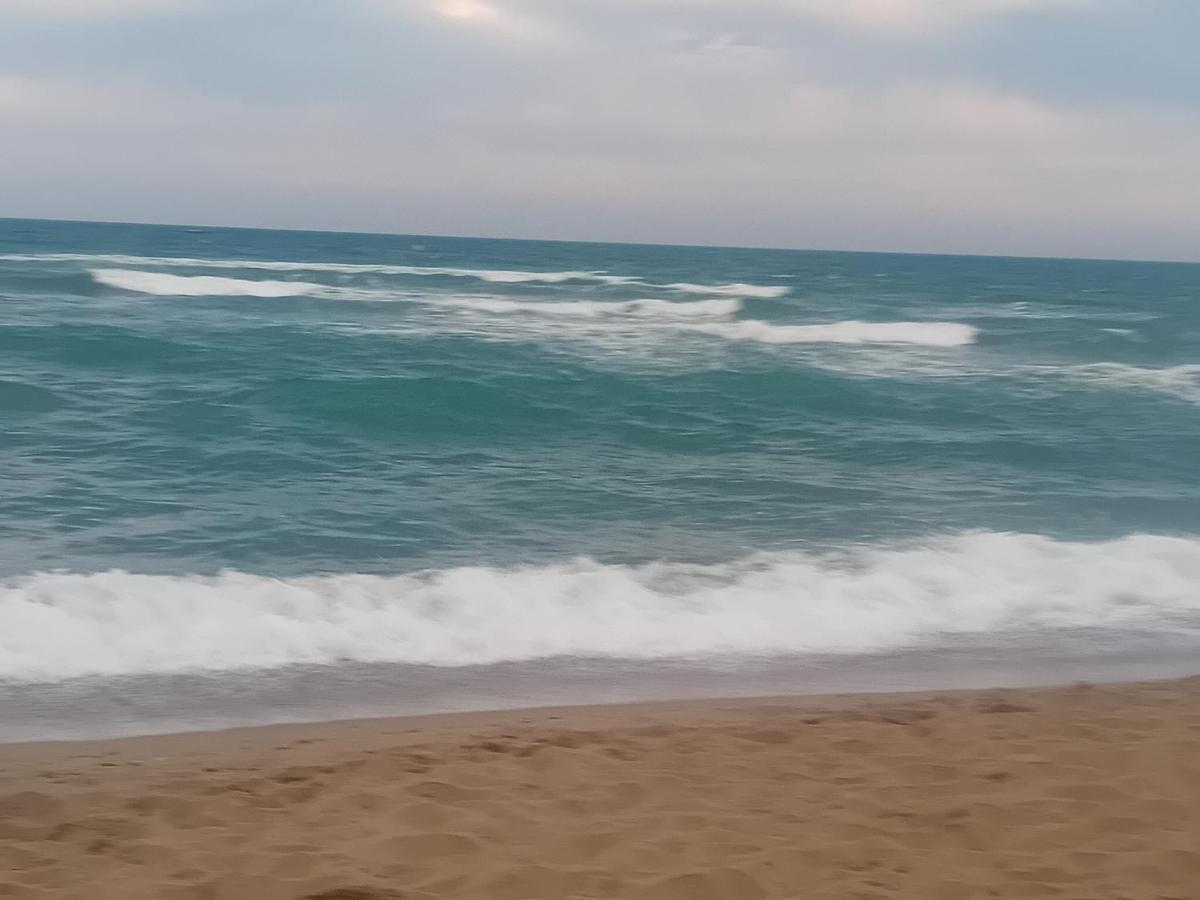 Residence Au Soleil Avec Piscine A 150M De La Plage - Barcares Le Barcarès Εξωτερικό φωτογραφία